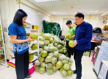 รับมอบส้มโอพันธุ์ขาวใหญ่ จากสหกรณ์การเกษตรบางคนที จำกัด ... พารามิเตอร์รูปภาพ 1